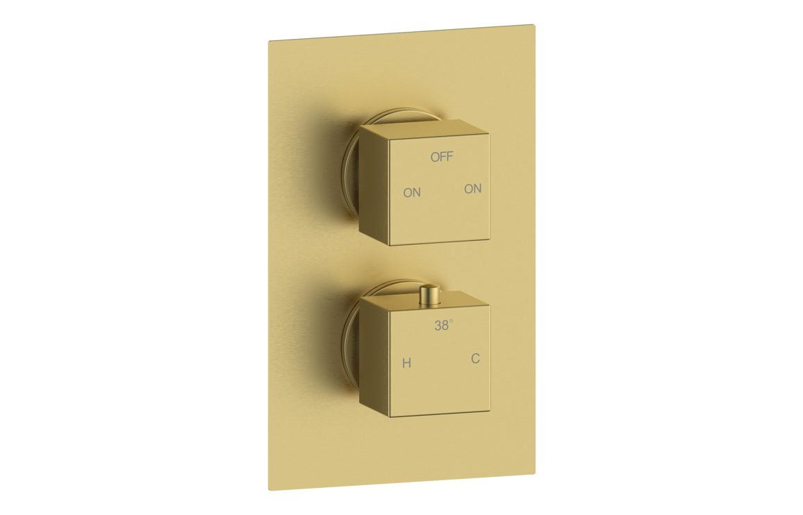 Twin outlet thermostatic shower valve, brushed brass