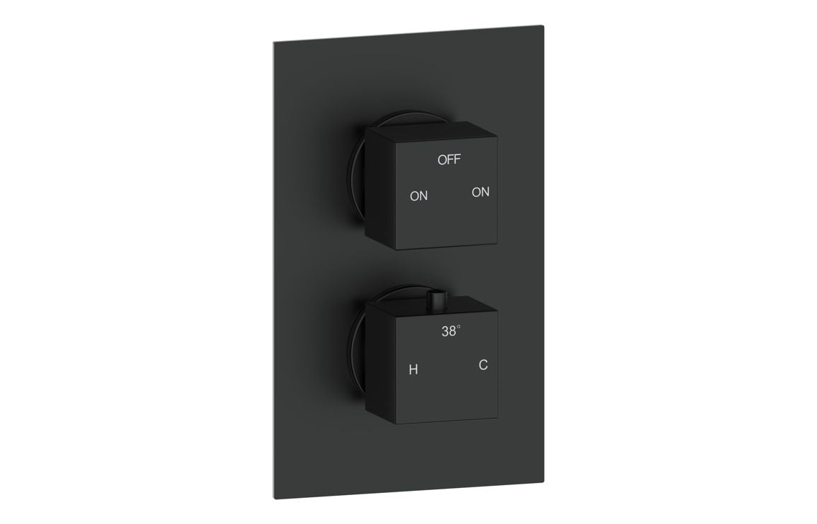 Twin outlet thermostatic shower valve, Black